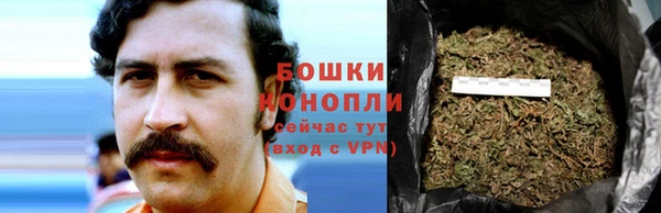 крисы Горнозаводск