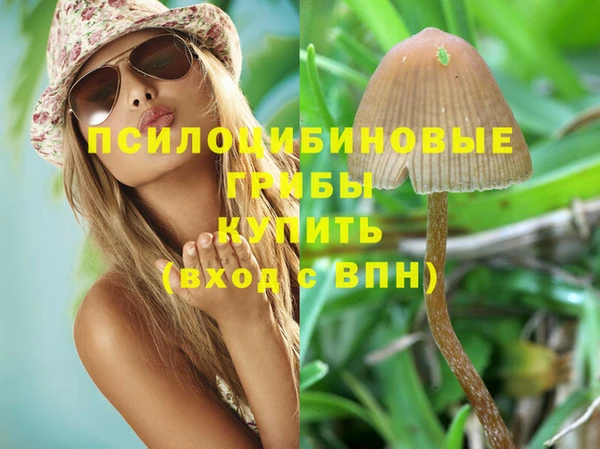спиды Вяземский