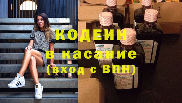 спиды Вяземский