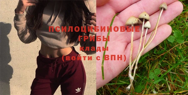 спиды Вяземский