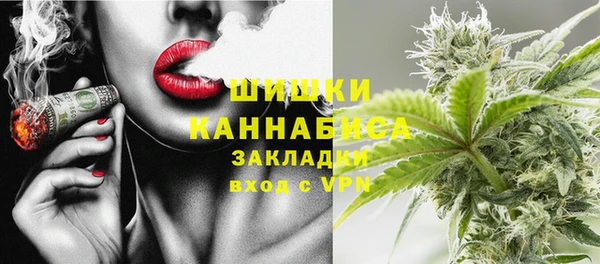 спиды Вяземский